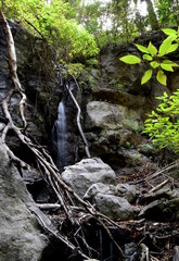 Waterfall