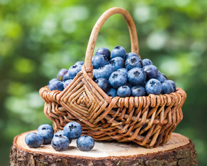 Fototapeta na wymiar Basket with ripe blueberries on stump
