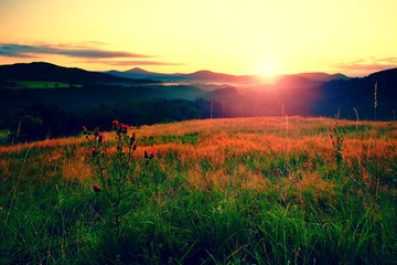 Sunrise Landscape.Early Morning Colorful  Meadow.