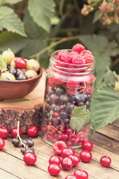 Jar of various berries