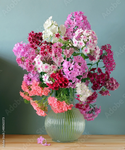 Флоксы в вазе