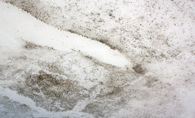  Dangerous toxic fungus mold