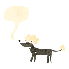 retro cartoon poodle dog with speech bubble