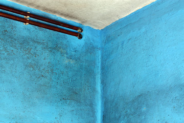 Dangerous toxic fungus mold