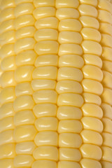 background corn cob