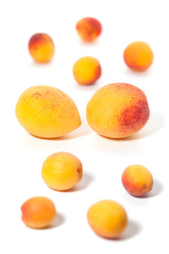 apricot background of various sizes on a white background