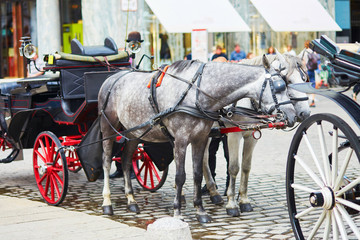 Fototapeta na wymiar Horse-driven carriage in Vienna, Austria