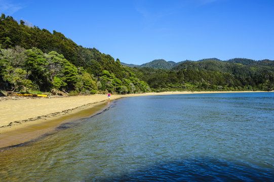 Long sandy beach, Abel Tasman National Park, South Island, New Zealand