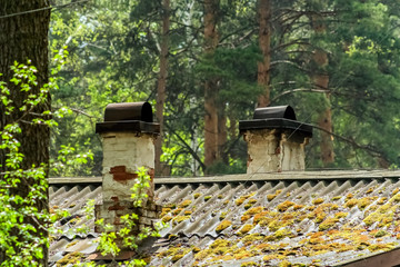 Old roof covered with moss in the forest