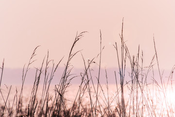Autumn purple sunset over the lake