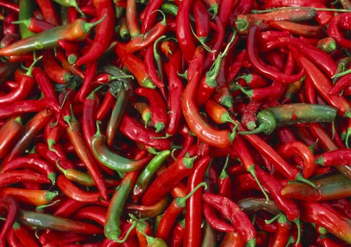 Large Pile of Red and Green Chillies