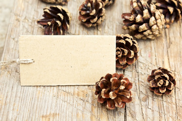 Pine cones and tag. Space for text