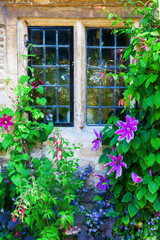 pflanzenumranktes Fenster eines alten Cottages in Bibury, England