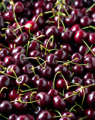 cherries background