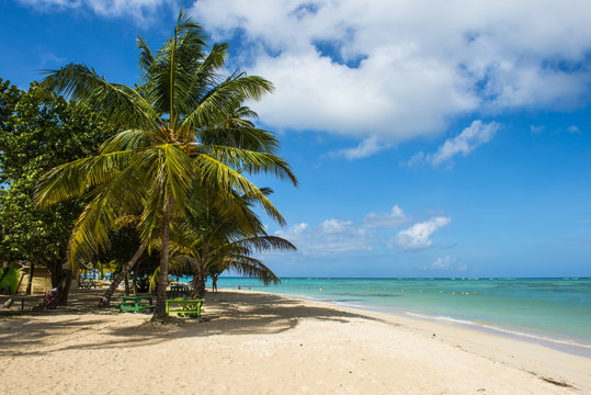 Sandy beach and palm trees of Pigeon Point, Tobago, Trinidad and Tobago