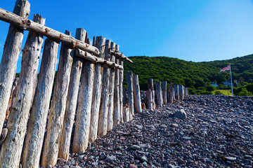 Fototapeta premium Holzpfähle einer Buhne in Porlock Weir, Somerset, England