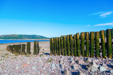 Fototapeta premium Holzpfähle einer Buhne in Porlock Weir, Somerset, England