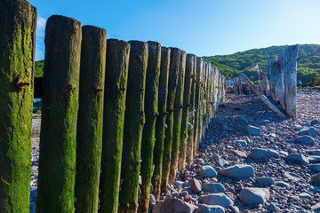 Fototapeta premium Holzpfähle einer Buhne in Porlock Weir, Somerset, England