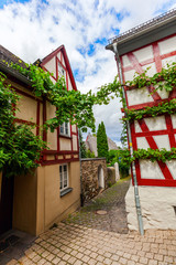Fototapeta na wymiar alte Fachwerkhäuser in Limburg an der Lahn, Deutschland