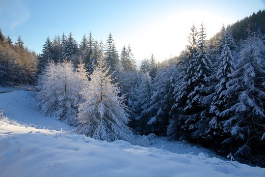 Snow scene on Snake Pass, Peak District National Park, Derbyshire