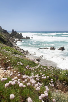Bay of Rena Maiore at the west coast, Gallur, Sardinia, Mediterranean 