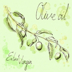 olive tree branch sketch, Hand-drawn Illustration