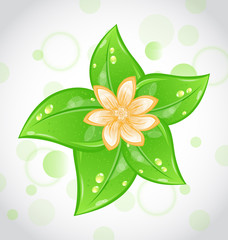 Cute eco background with green leaves and flower