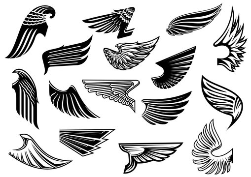 Naklejka Vintage isolated heraldic wings set