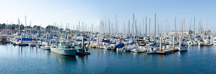 Marina in Carmel, California © Ashok B. Mehta
