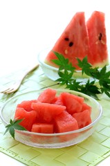 カットしたスイカと青モミジ