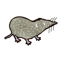 retro cartoon shrew