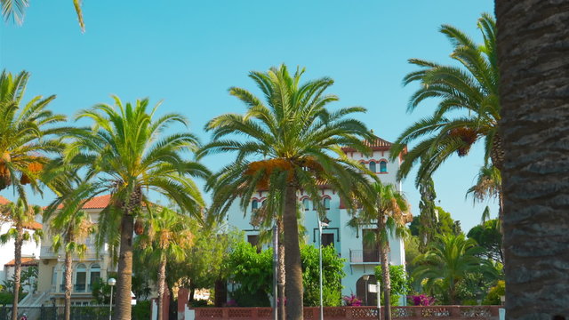 Spanish house and palm trees in Salou, Spain, Europe
