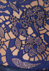 texture lace. a fine open fabric