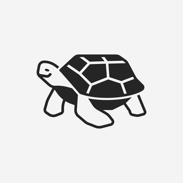 animal turtle icon