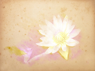 The old blank pages.