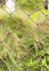 Fototapeta premium Blur green background behind the fence vertical style