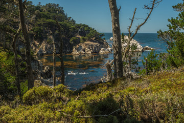 Fototapeta na wymiar The Beautiful and ever Inspiring Point Lobos in Carmel, California