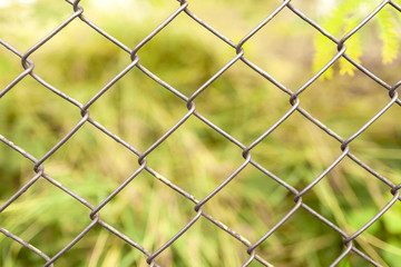 Green background behind the fence