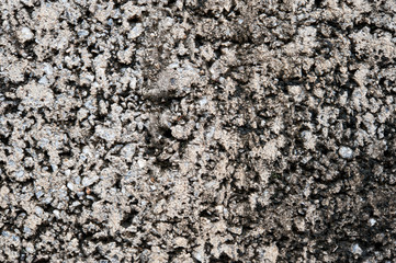 cement texture