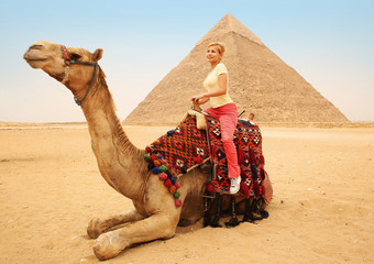 Tourist woman on camel in Giza. Young blonde near Pyramid 