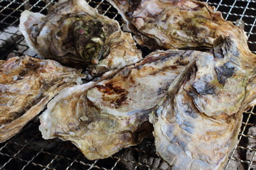 牡蠣炭火焼き