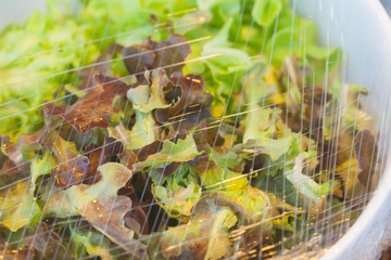 Vegetables in a glass bowl on the plastic wrap.