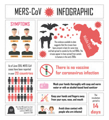 Corona Virus Infographics