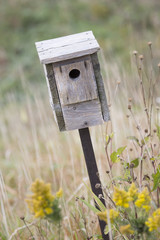 Bird House