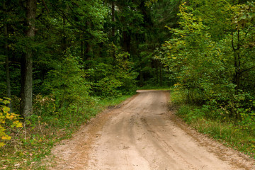 Obraz premium pebble path