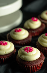 Red Velvet Cupcakes.
Sweet Red Velvet Cupcakes with floral design on top of cream. Isolated on a black background