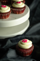 Red Velvet Cupcakes.
Sweet Red Velvet Cupcakes with floral design on top of cream. Isolated on a black background