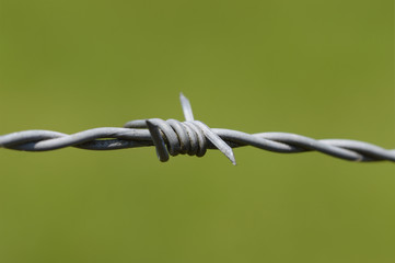 Stacheldraht vor grüner Wiese