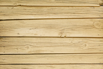 Fototapeta premium natural wood wall textured wallpaper background