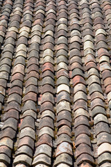 Terracotta curved roof tiles